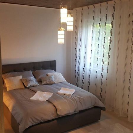 Gutenberg Utca Apartman Сегед Екстер'єр фото