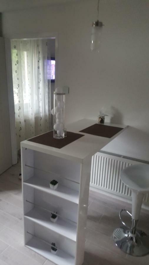 Gutenberg Utca Apartman Сегед Екстер'єр фото